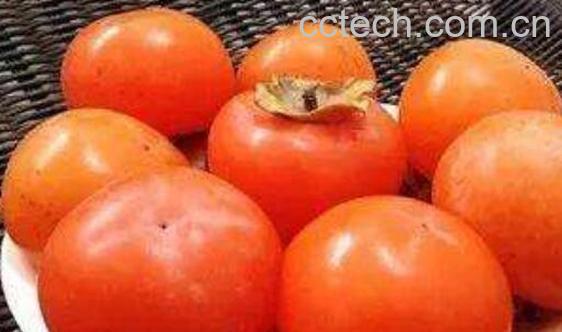 硬柿子和软柿子的区别有哪些-0