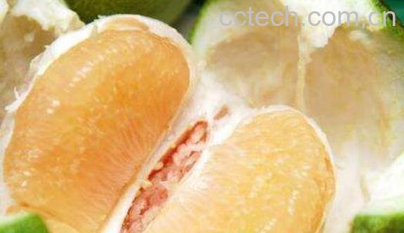 文旦柚和柚子的区别 吃柚子的好处-0