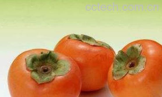 硬柿子和软柿子的区别有哪些-1