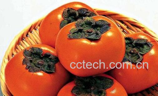 怎么判断脆柿有没有熟 脆柿是怎么形成的-0