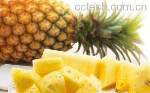 凤梨应该怎么挑选好吃 从外观如何挑选凤梨-1