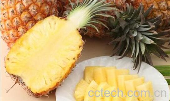 凤梨应该怎么挑选好吃 从外观如何挑选凤梨-0