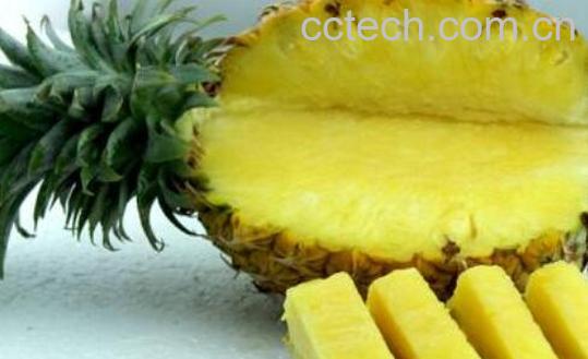 菲律宾菠萝怎么挑选-0