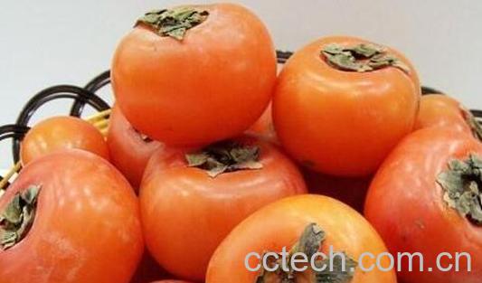 柿子涩怎么办可以又脆又甜-0