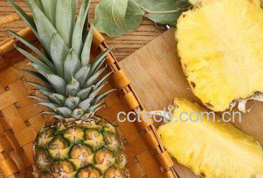 菲律宾菠萝怎么挑选-1