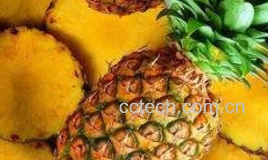 金菠萝怎么挑选 -0