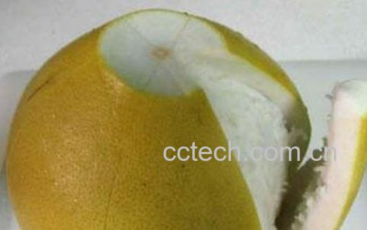 柚子皮能干什么 柚子皮怎么美容-0