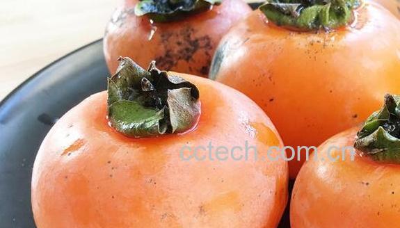 懒柿子的功效与作用及禁忌-0