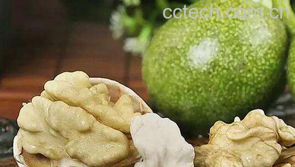 青皮核桃仁的功效与作用及禁忌-0