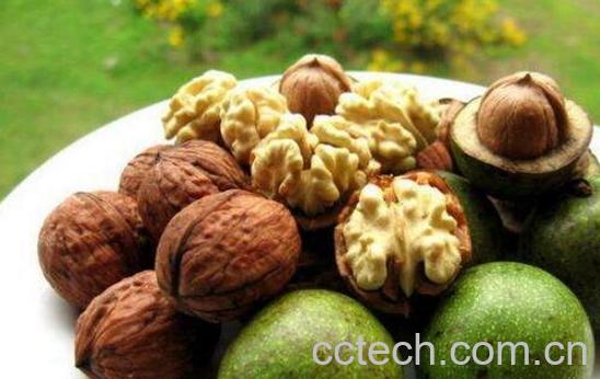 青皮核桃仁的功效与作用及禁忌-1