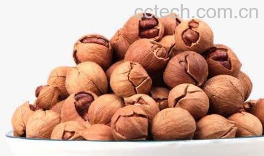 小山核桃的功效与作用-0