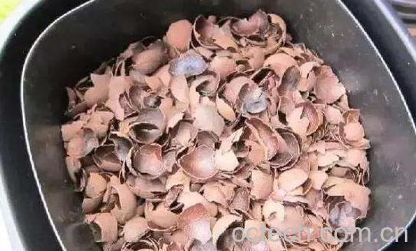 桂圆壳的功效与作用 桂圆壳的药用价值-0