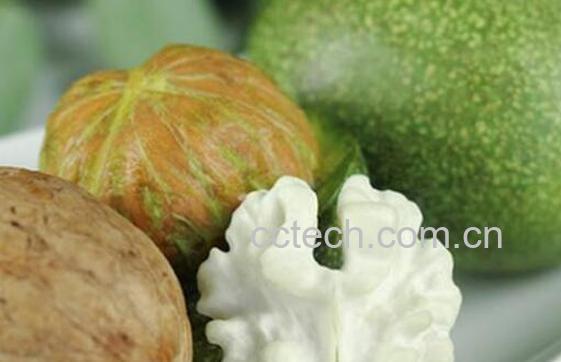 青核桃皮的功效与作用-1