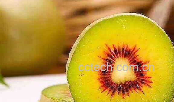 奇异果和猕猴桃的区别 吃奇异果的好处-1