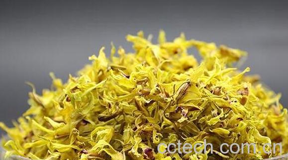 铁皮石斛花的功效与作用 铁皮石斛花的药用价值-0