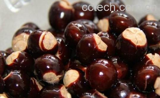 桂圆核有什么功效与作用 桂圆核的妙用-0
