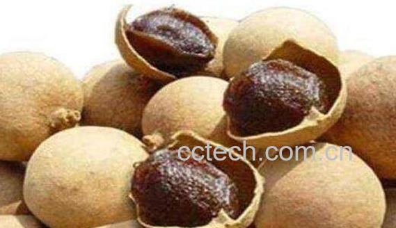 桂圆壳和核同煮的功效-0