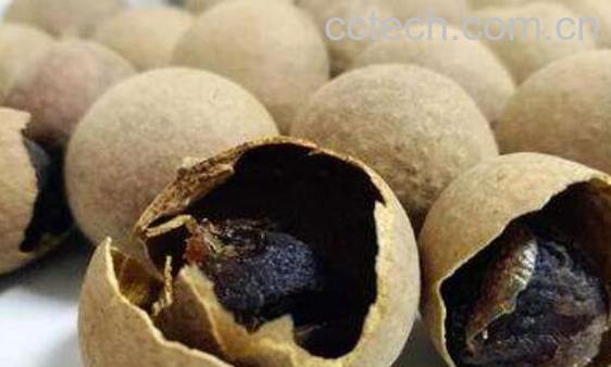 桂圆皮的功效与作用及食用方法-0