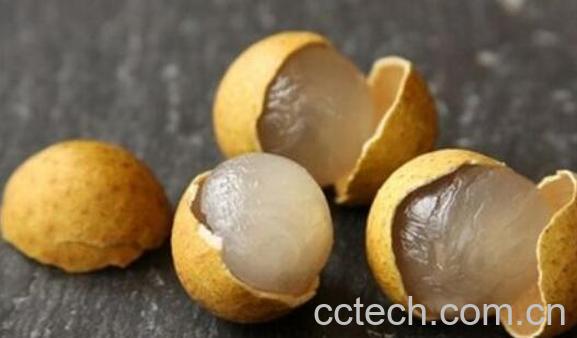 桂圆皮怎么泡水喝 桂圆皮泡水的功效与作用-1