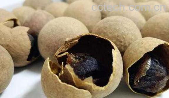 干桂圆怎么吃 干桂圆泡水的正确方法-1