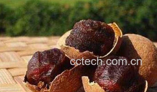 干桂圆怎么吃 干桂圆泡水的正确方法-0