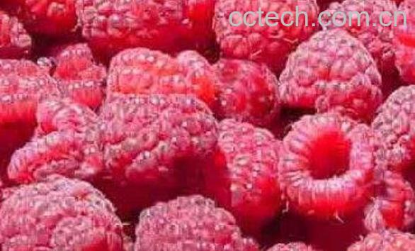 树莓如何长期保存-1