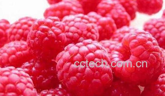 吃不完的树莓怎么保存 树莓如何长期保存-0
