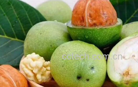 绿色的核桃皮怎么去掉-1