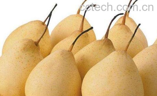 热鸭梨水的功效与作用-1