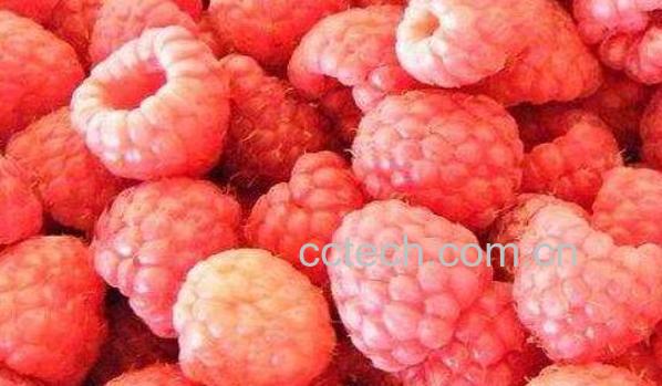 冷冻树莓怎么吃 冷冻树莓的食用方法-0