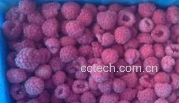 冷冻树莓怎么吃 冷冻树莓的食用方法-1