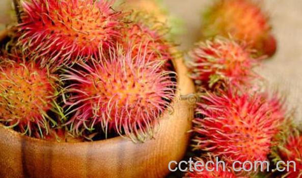 红毛丹怎么挑 怎么选红毛丹比较好-1