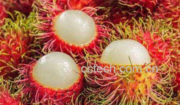 红毛丹怎么挑 怎么选红毛丹比较好-0