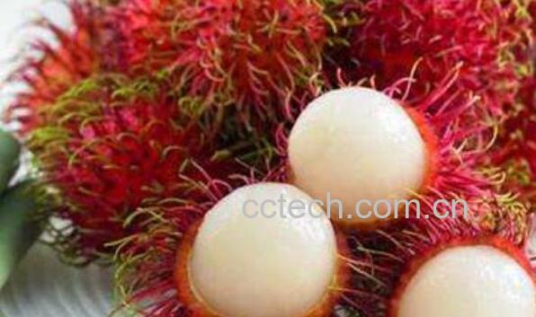 红毛丹怎么吃 红毛丹怎么吃不沾核皮-0