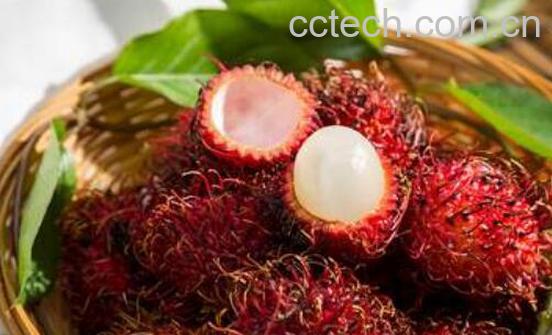 红毛丹怎么吃 红毛丹怎么吃不沾核皮-1