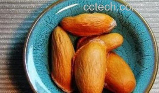 榴莲籽的功效与作用 榴莲籽可以吃吗-0