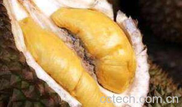 榴莲籽的功效与作用 榴莲籽可以吃吗-1