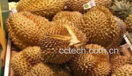 榴莲皮有什么功效 榴莲皮的妙用-0