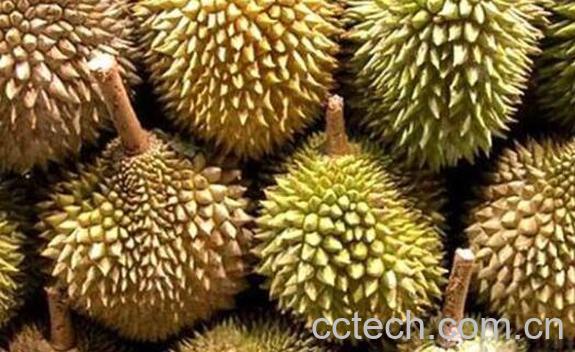 榴莲皮有什么功效 榴莲皮的妙用-1