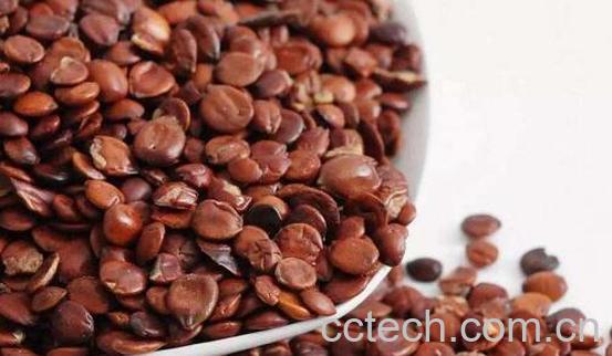 炒酸枣仁的功效与作用及禁忌症-1