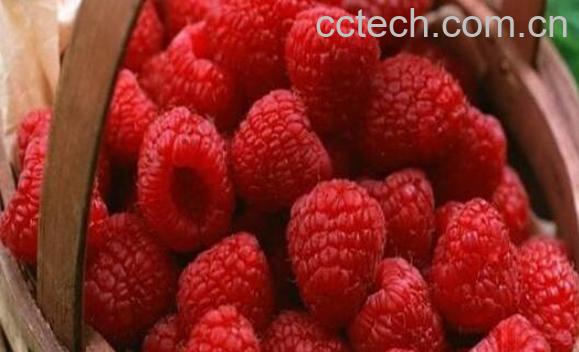 红秋莓与树莓有何区别 吃红秋莓的好处-0