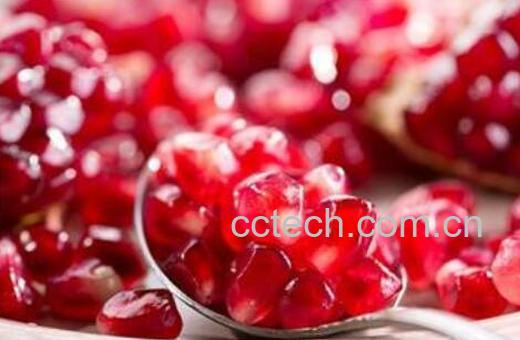 石榴籽如何种植 石榴籽的种植方法-1