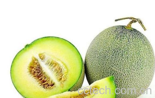 玲珑蜜瓜功效与作用-0