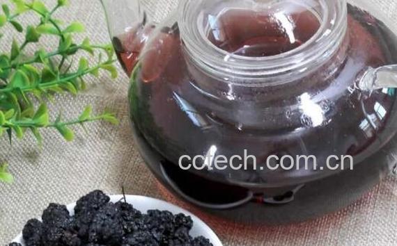 桑葚干泡水的功效与作用及禁忌-1