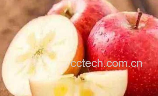 阿克苏苹果的功效与作用-0