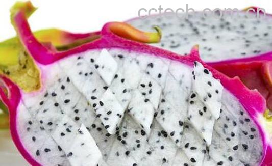 白肉火龙果的功效与作用 吃白肉火龙果的好处-0