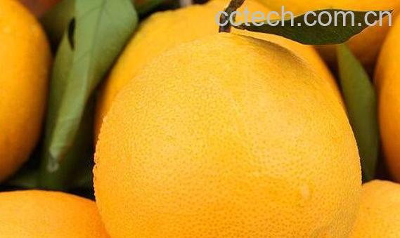 橙子皮的功效与作用 橙子皮泡水喝的功效-0