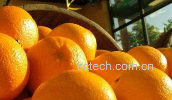 橙子皮的功效与作用 橙子皮泡水喝的功效-1