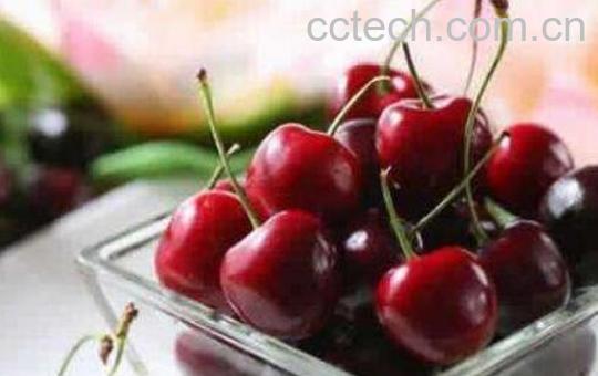 车厘子的功效与作用 吃车厘子的好处-1