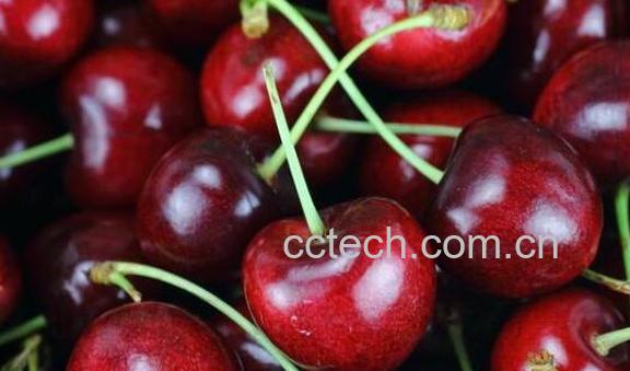 车厘子的功效与作用 吃车厘子的好处-0